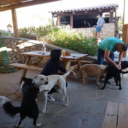 B&B Badde Cubas Usini Buitenkant foto