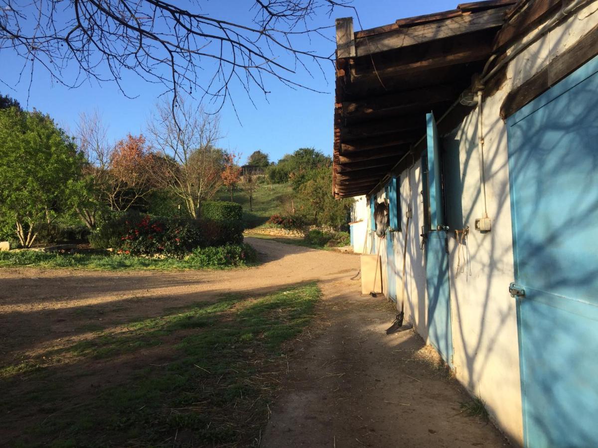 B&B Badde Cubas Usini Buitenkant foto