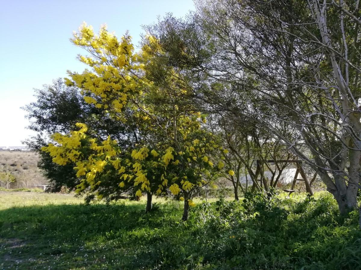 B&B Badde Cubas Usini Buitenkant foto