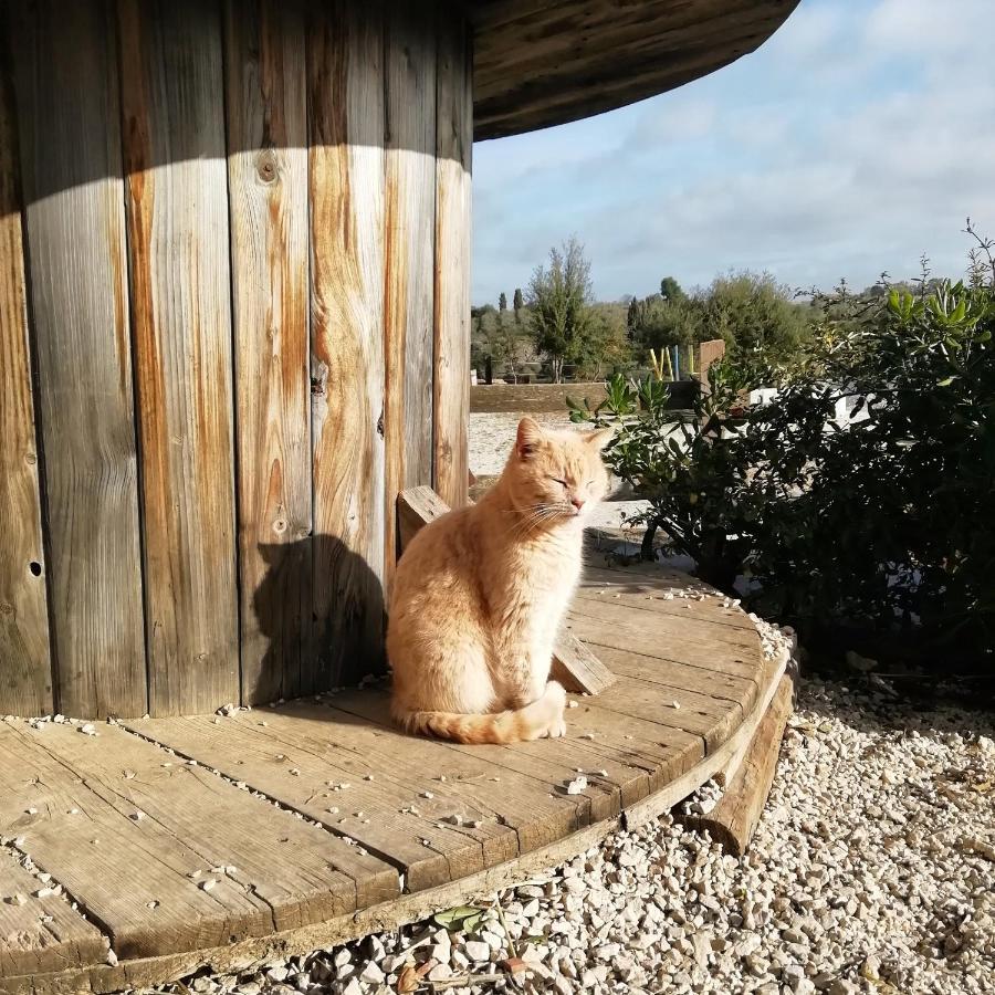 B&B Badde Cubas Usini Buitenkant foto