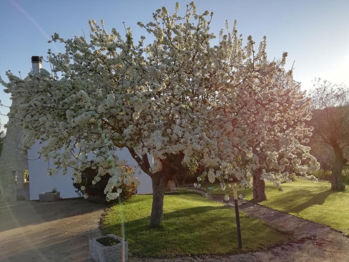 B&B Badde Cubas Usini Buitenkant foto
